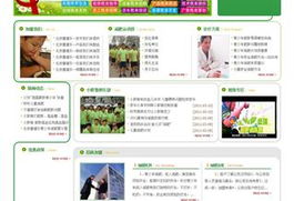 沈陽網站建設與設計 打造專業在線形象，驅動企業數字增長