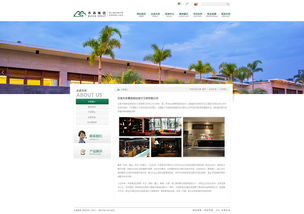 奧遠科技 木森集團官方網站建設專家，深耕云南與昆明的網絡服務